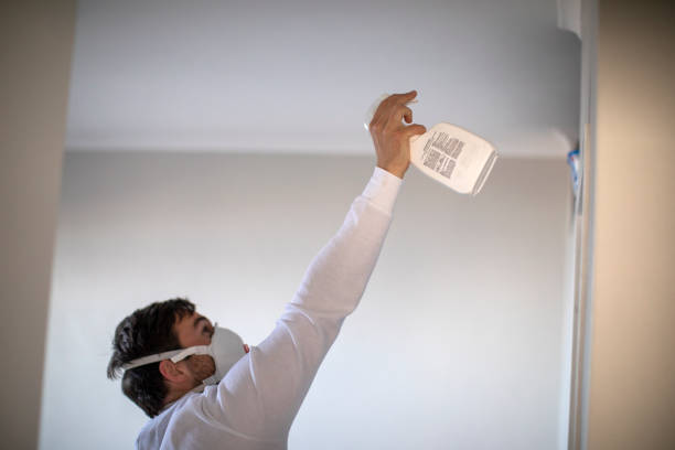 Best Attic Mold Remediation in Jamestown, CA