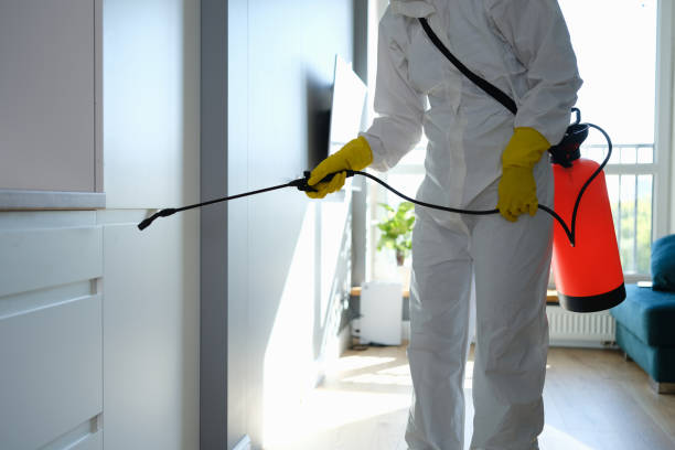 Best Residential Mold Remediation in Jamestown, CA