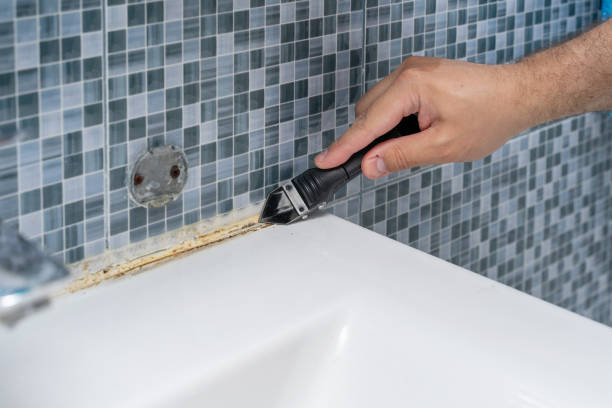 Best Black Mold Remediation in Jamestown, CA